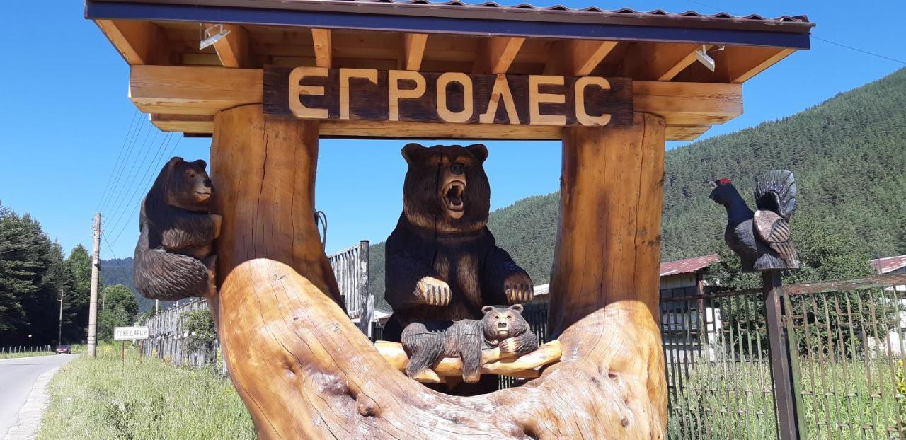 Family Hotel Ecorelax Madzhare エクステリア 写真